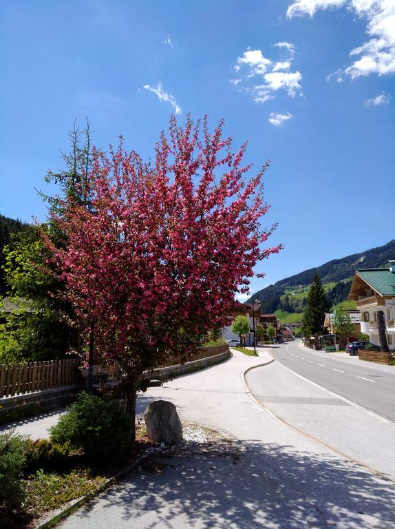 Gaestehaus Die Geislerin Gerlos Bagian luar foto