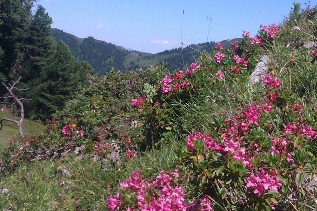 Gaestehaus Die Geislerin Gerlos Bagian luar foto